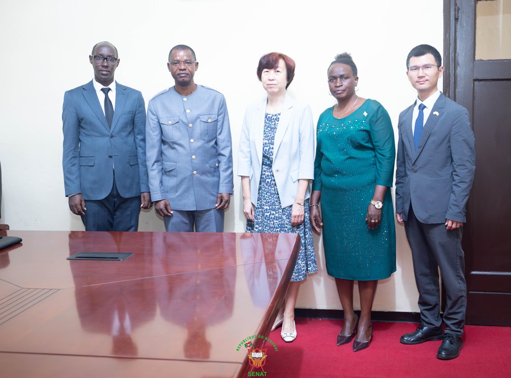 The Senate Speaker receives in audience the Ambassador of the People