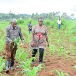 Le Premier Vice-Président du Sénat visite certains projets de développement en province de Mwaro