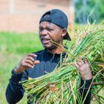 La population de Bubanza appelée à se lancer dans le domaine agricole