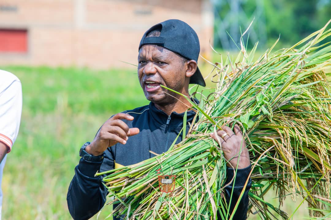 La population de Bubanza appelée à se lancer dans le domaine agricole