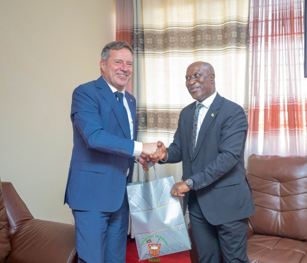 L&rsquo;Ambassadeur d&rsquo;Allemagne au Burundi reçu en audience par le Président du Sénat